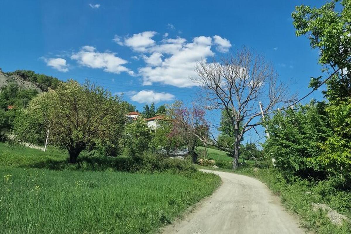 prašná cesta vedle pole se stromy