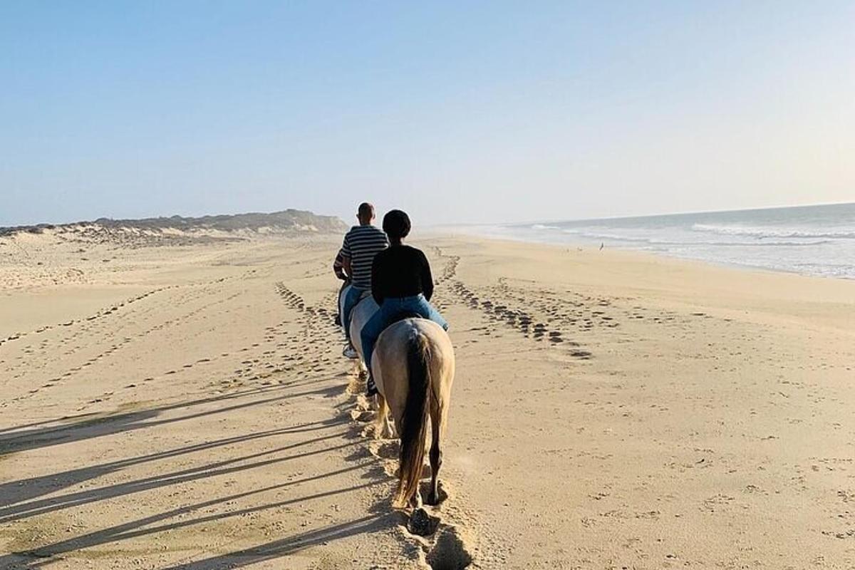 un grupo de personas montando a caballo en la playa