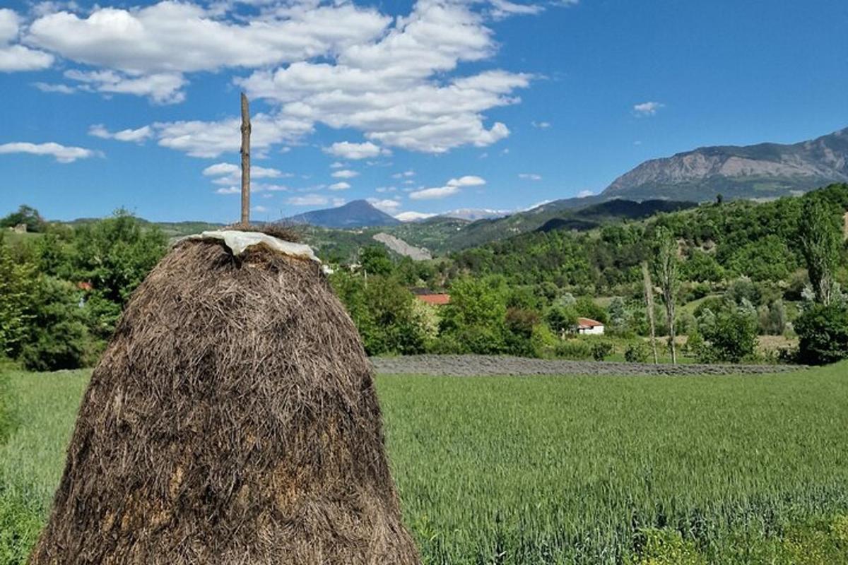 kup sena na polju z gorami v ozadju