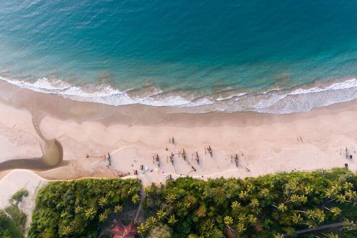 Fotografia da atração 5