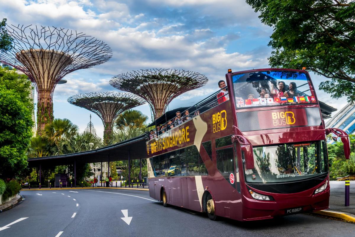 a double decker bus driving down a street with trees