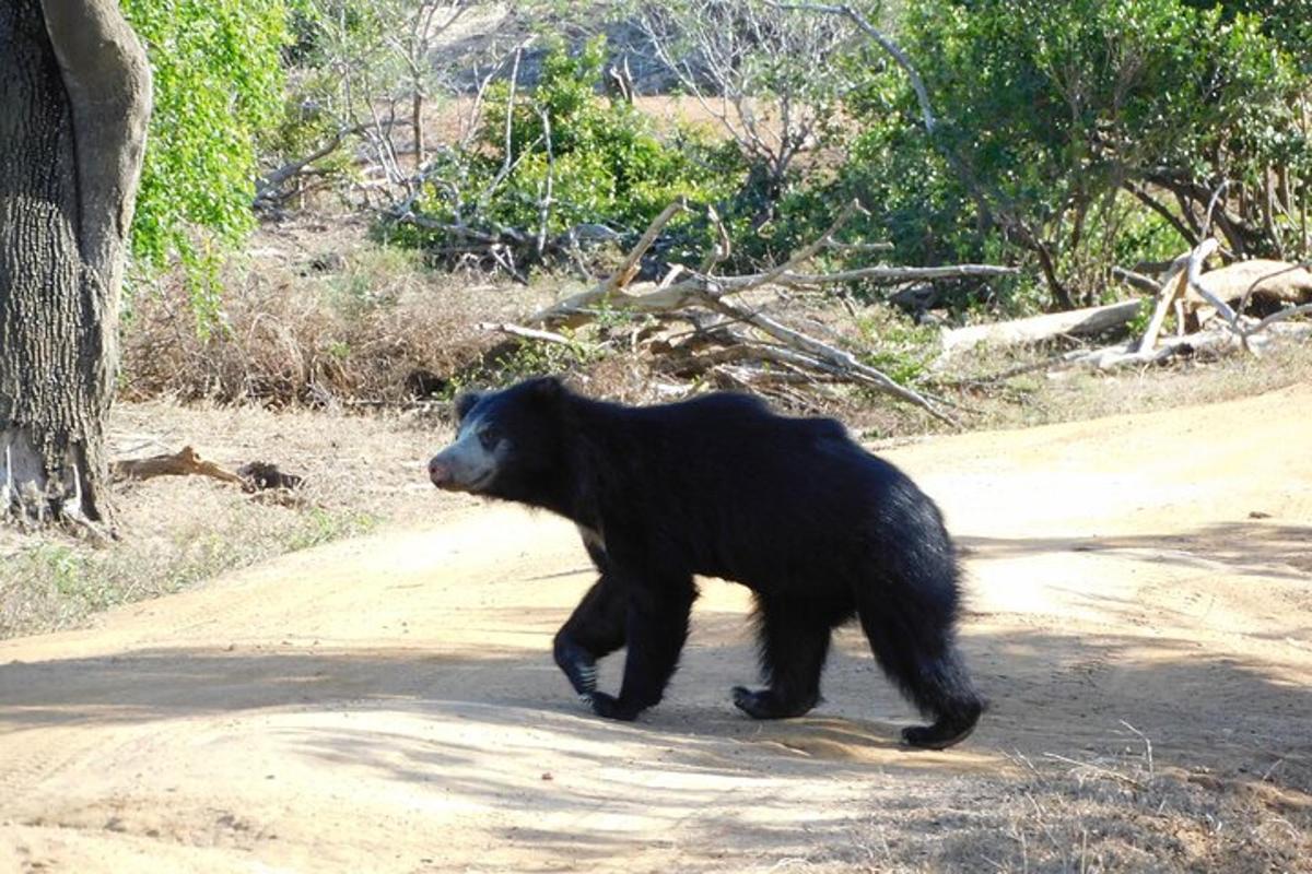 5 foto atraksi wisata