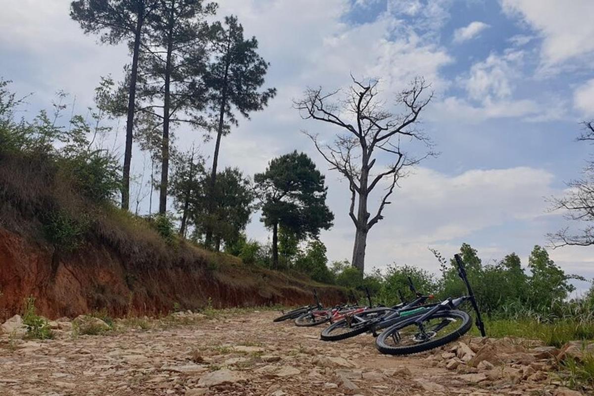 rząd motocykli zaparkowanych na drodze gruntowej