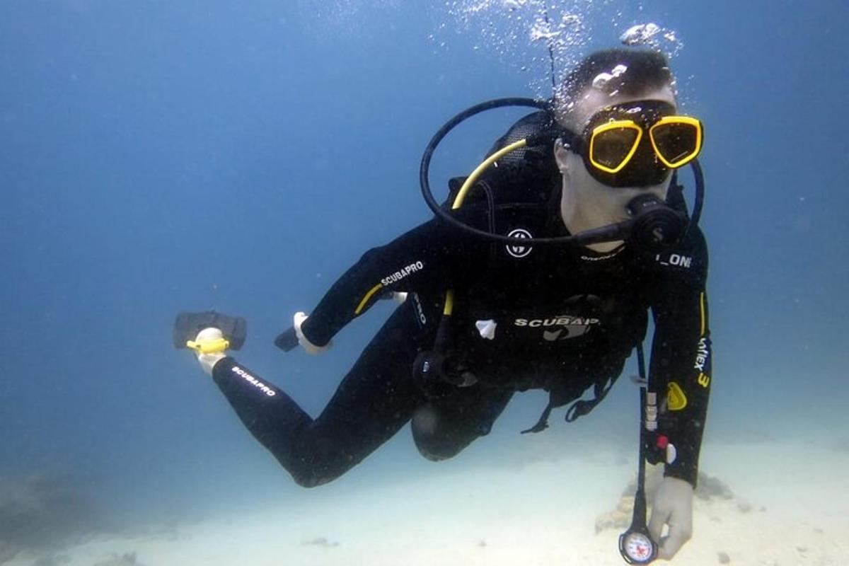 una persona con muta e occhialini in acqua