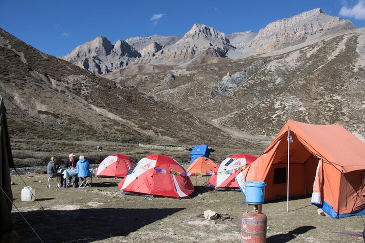 a group of tents in a field with mountains