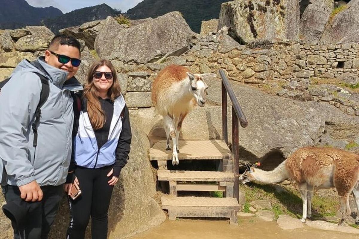 um homem e uma mulher estão parados ao lado de animais
