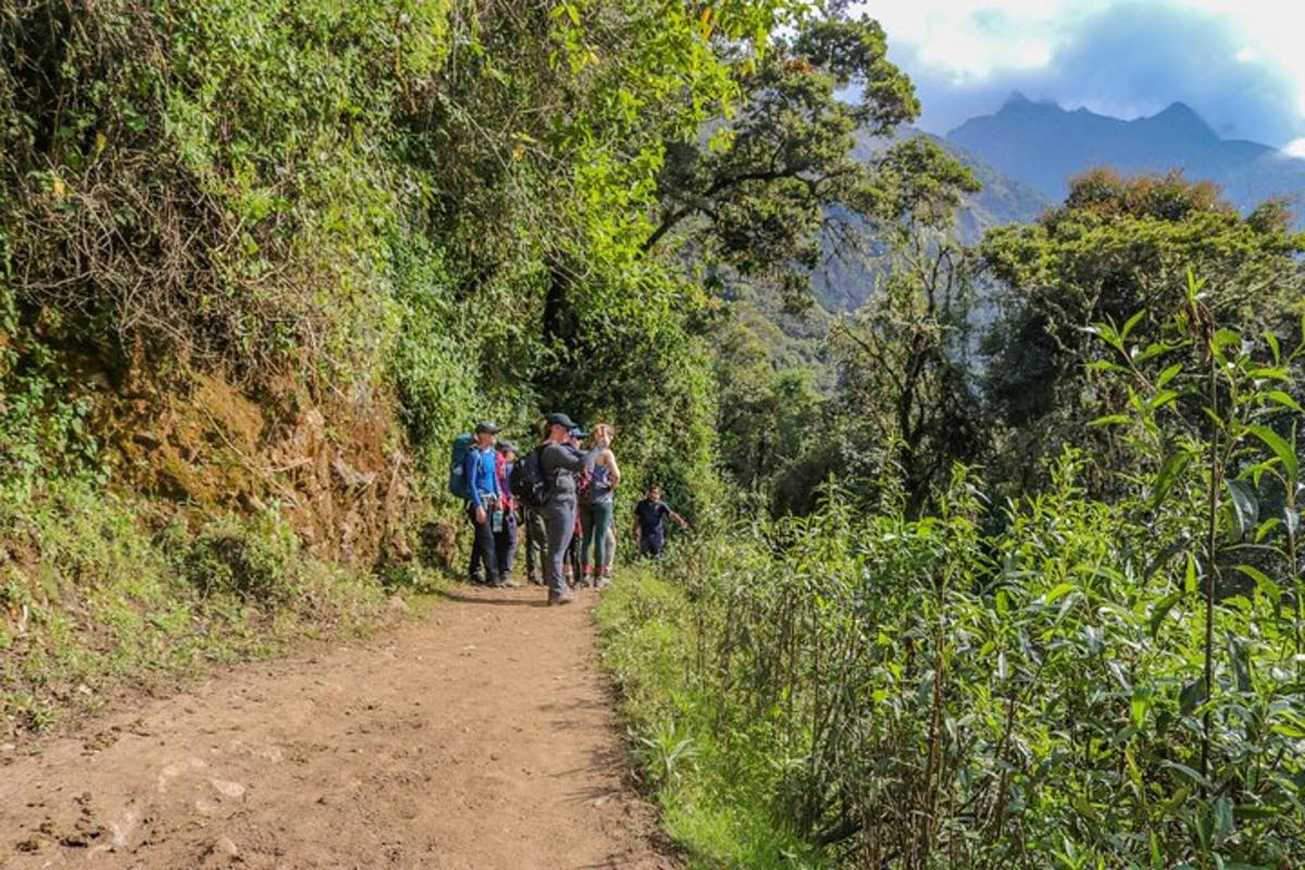 a group of people walking down a dirt road