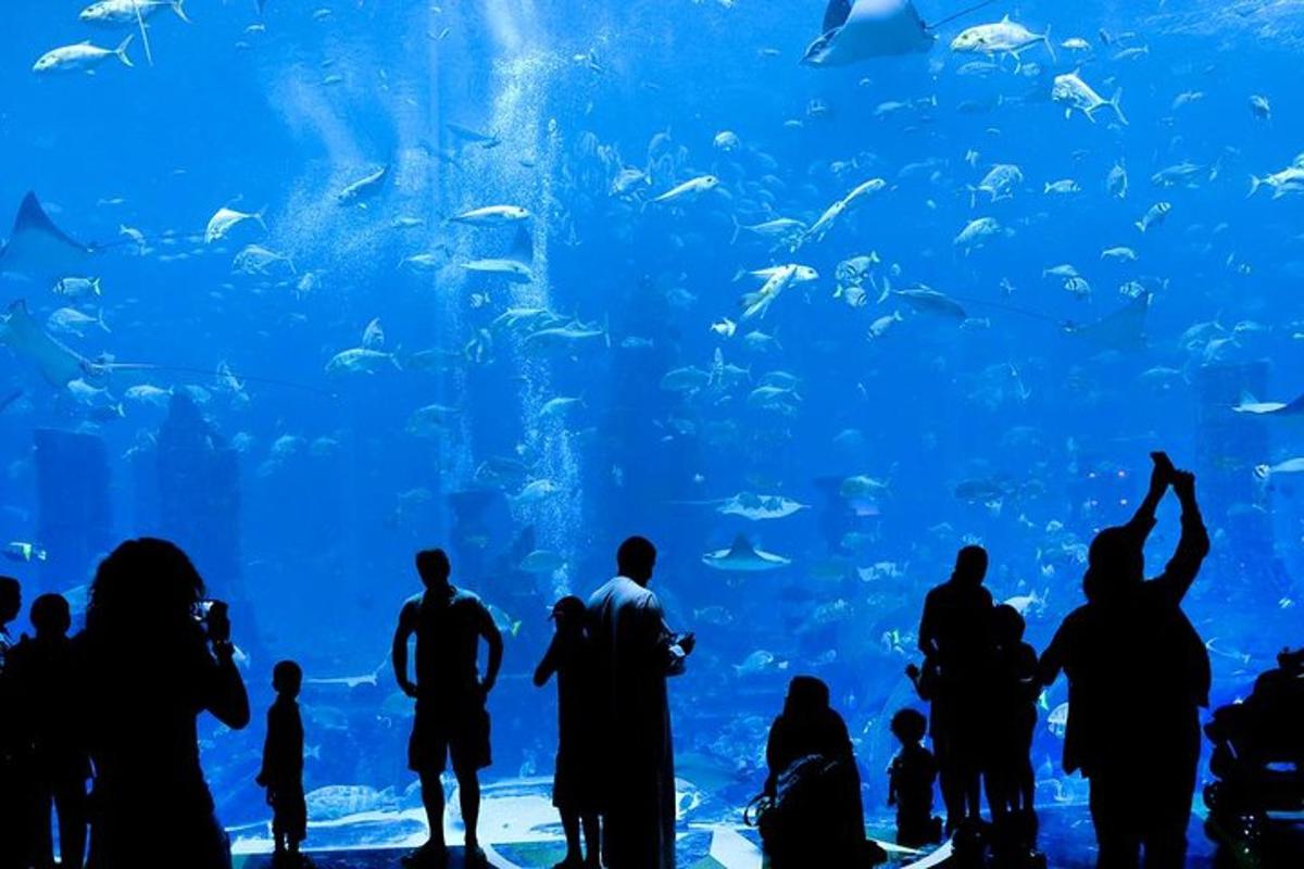 Attraction picture 1