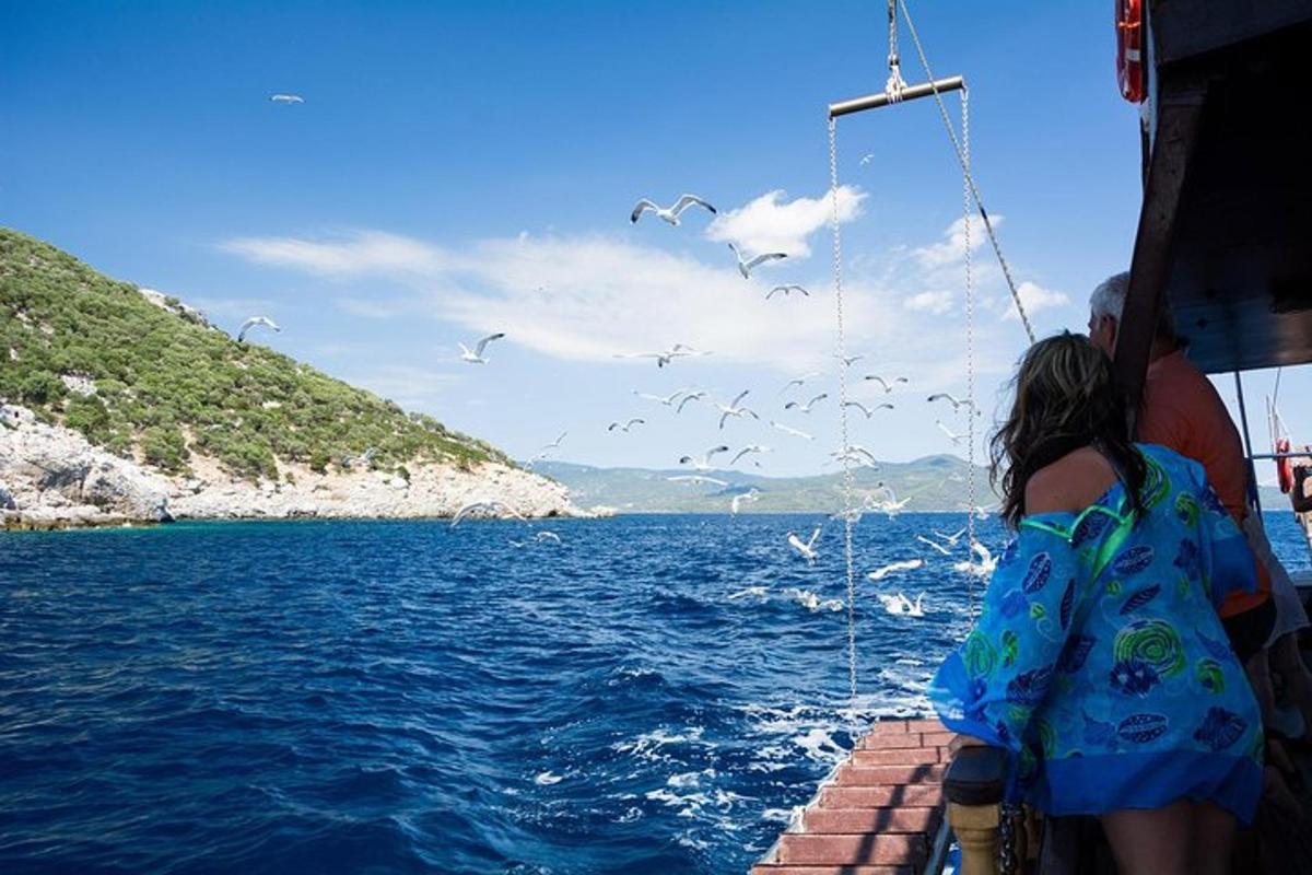 Una mujer en un barco en el agua con pájaros.