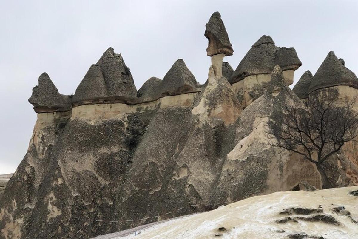 a rock formation with a tree in front of it
