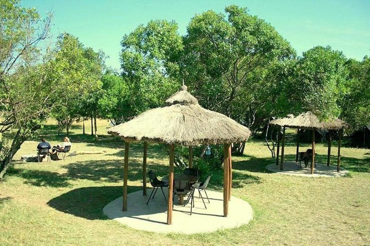 un gruppo di ombrelloni e sedie in un parco