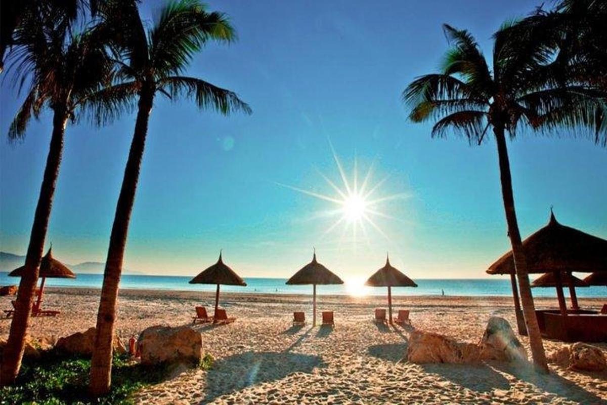 ein Strand mit Sonnenschirmen und Palmen und das Meer