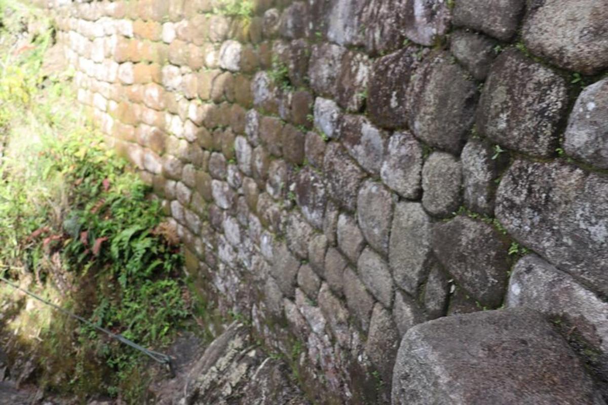 dinding batu lama dengan lumut di atasnya