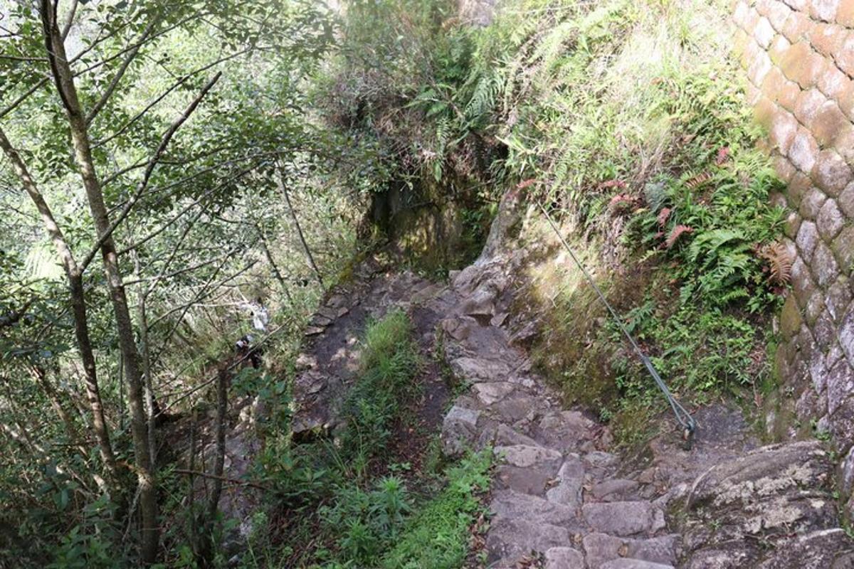 jalan tanah di tengah-tengah hutan