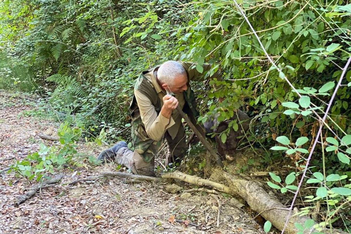 a man talking on a cell phone in the woods