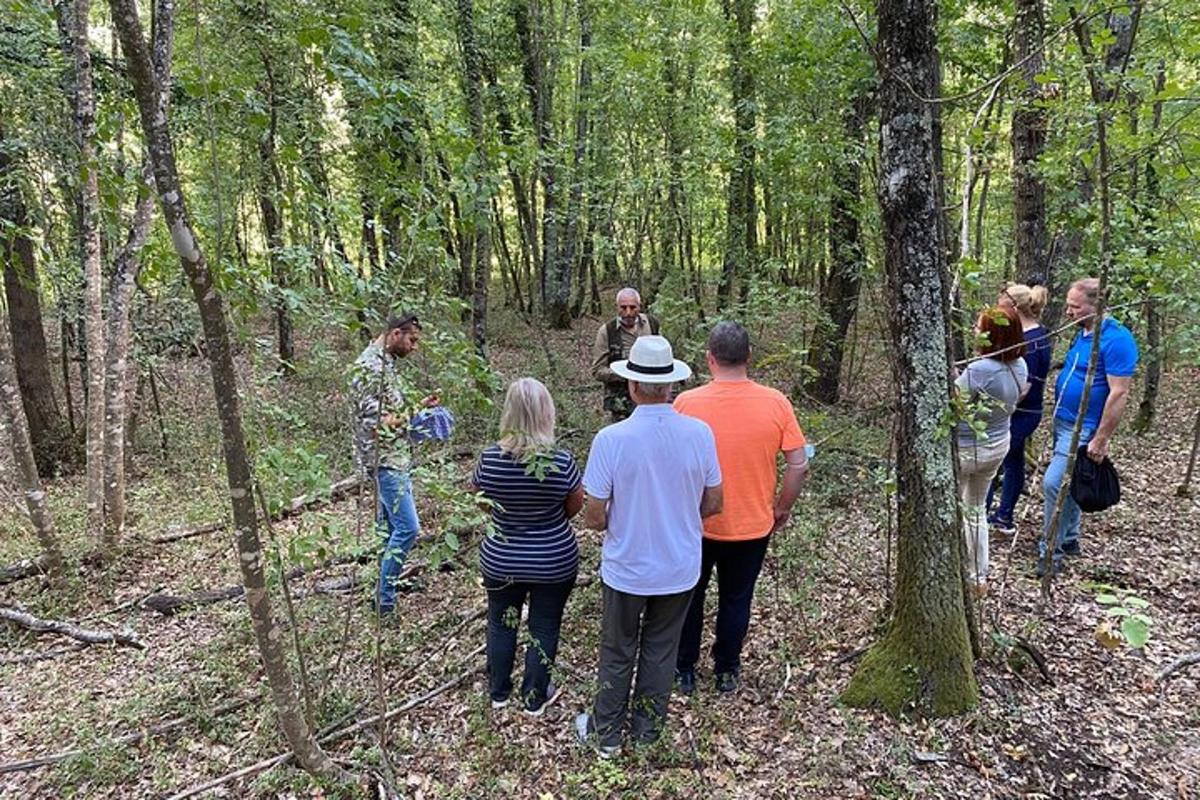 un gruppo di persone che camminano nel bosco