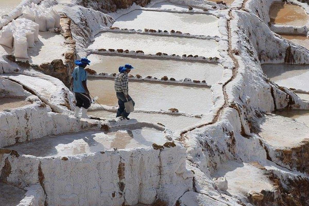 Dos hombres bajando escaleras cubiertas de nieve con pájaros sobre ellas.