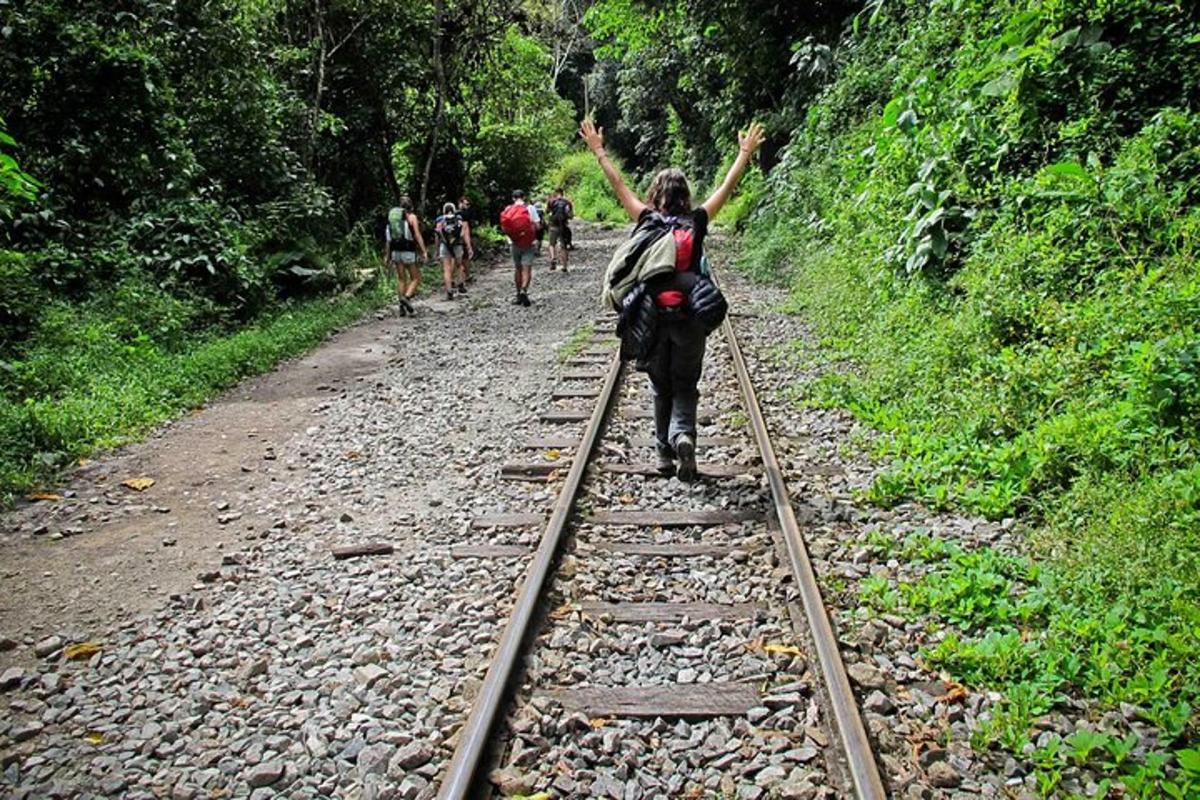 una persona montada en un burro en una vía del tren