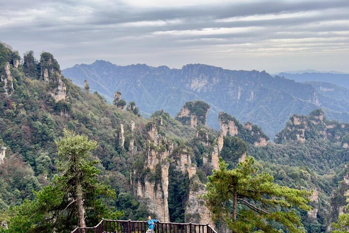 una persona in piedi su un ponte sospeso in montagna