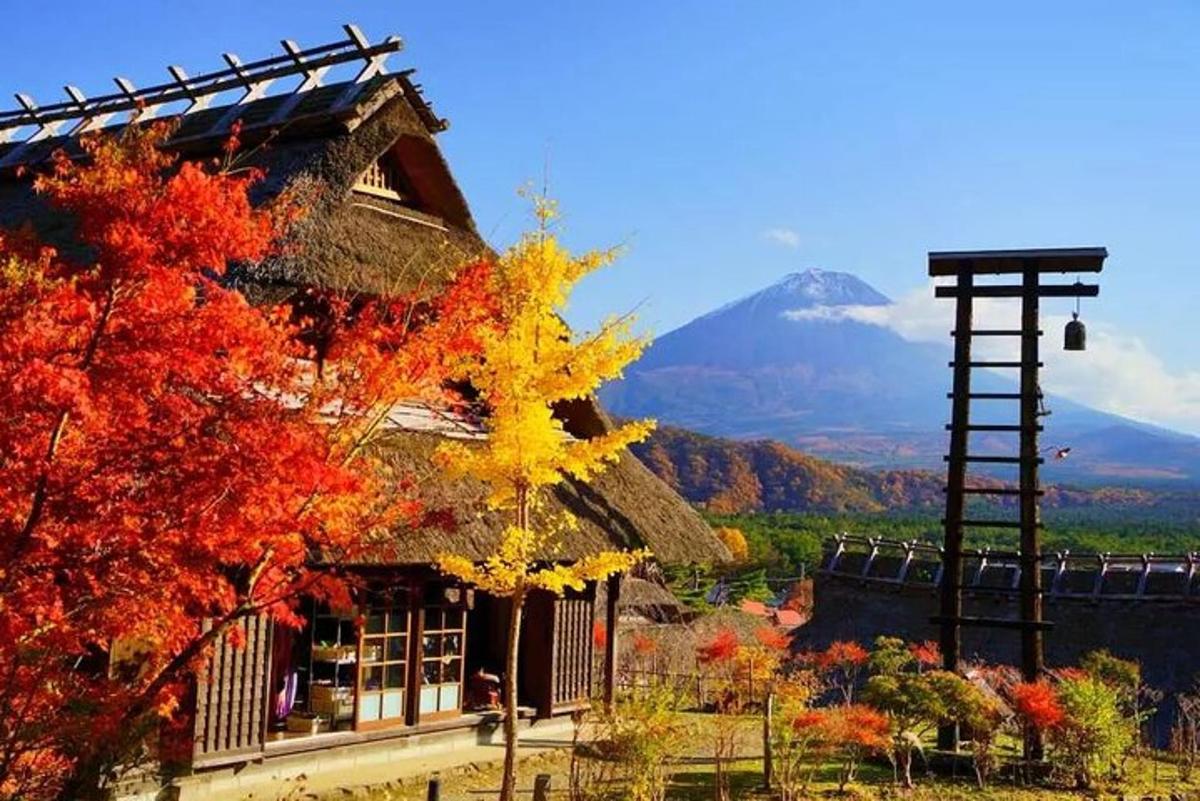 a house with autumn leaves and a mountain in the background