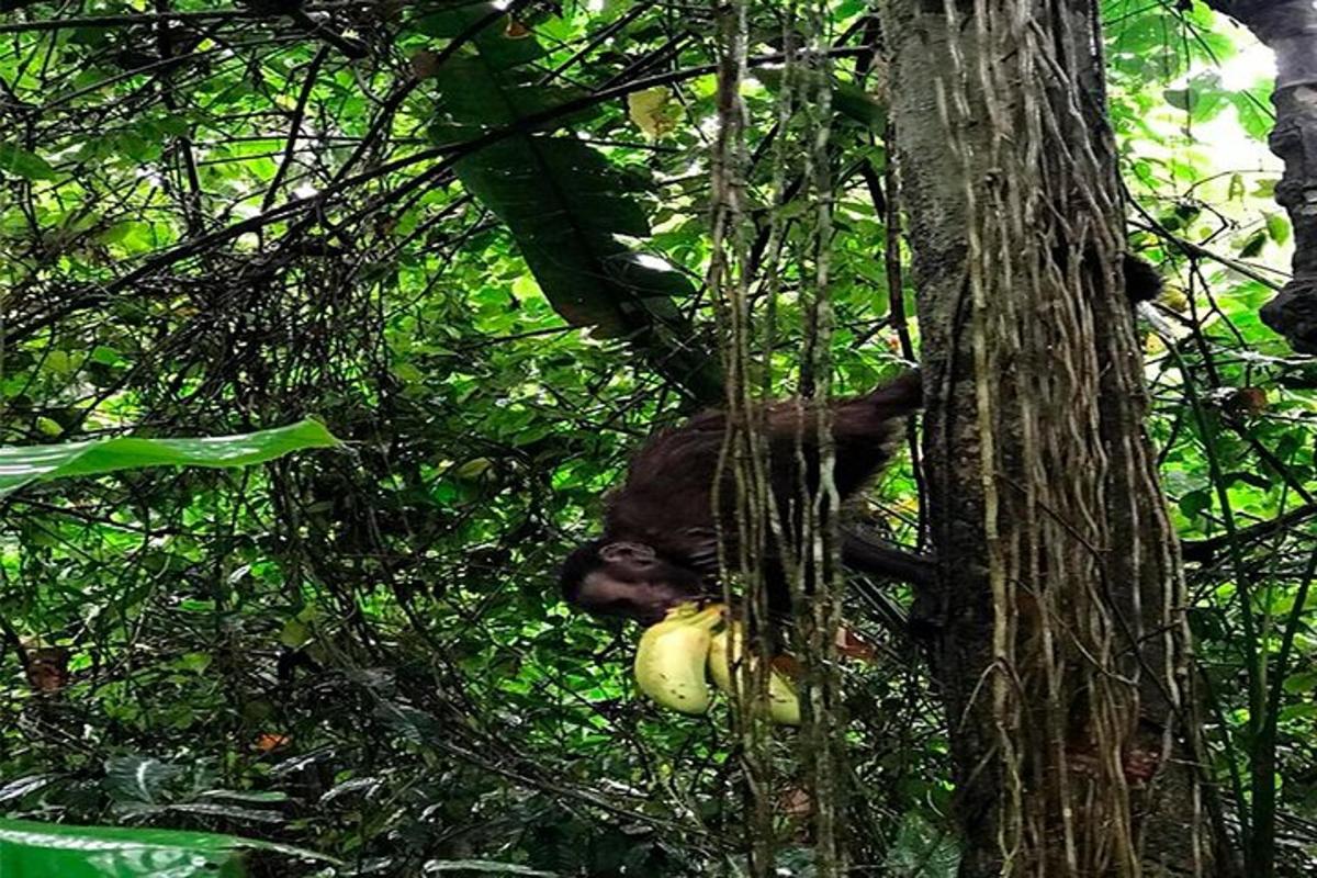 Fotografia da atração 6