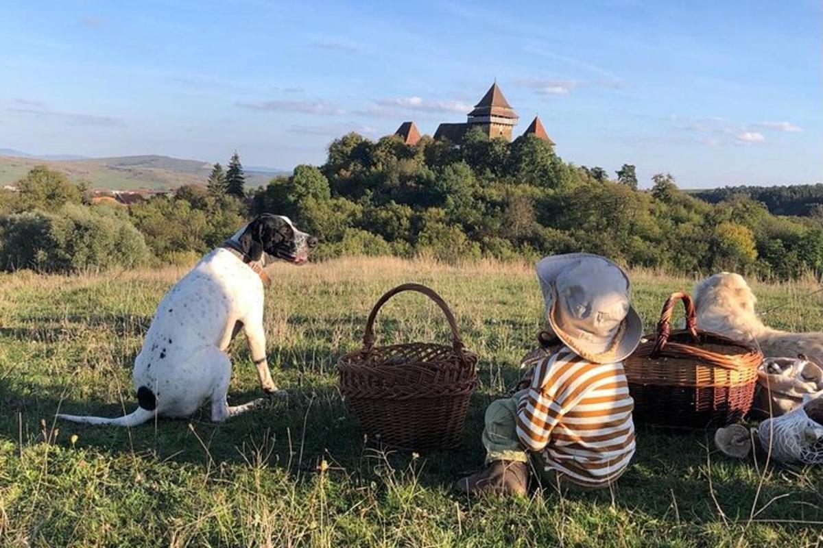 Fotografia 1 a atracției
