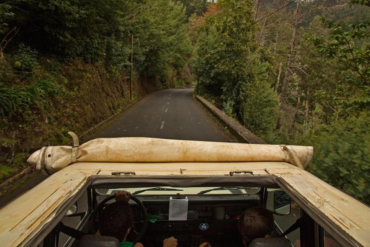un gruppo di persone su un camion che percorre una strada