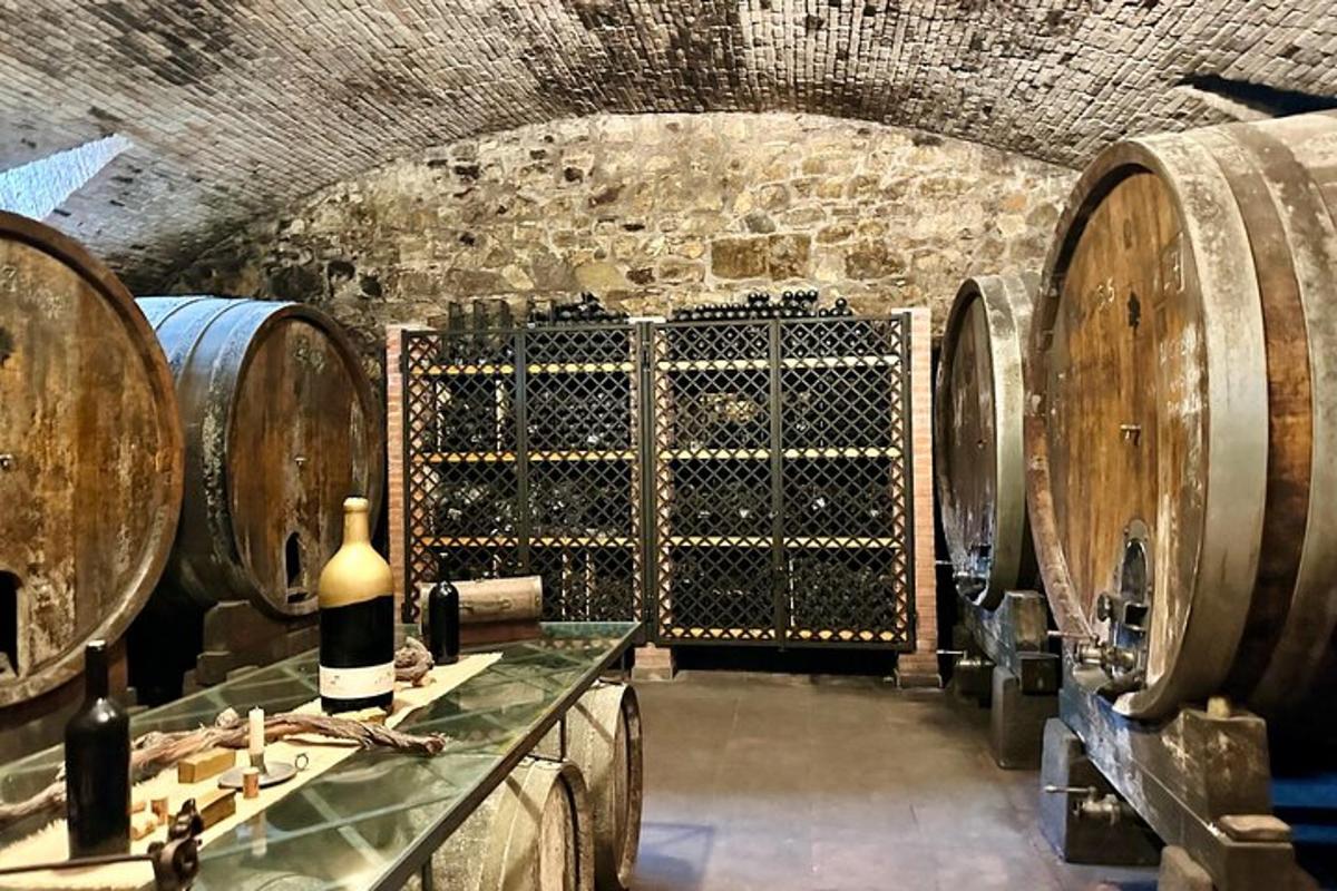 una stanza con un mucchio di botti di vino