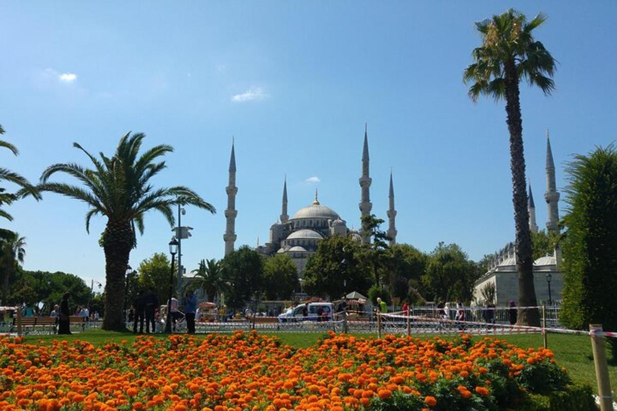 una vista de la mesquita blava des d'un parc amb flors