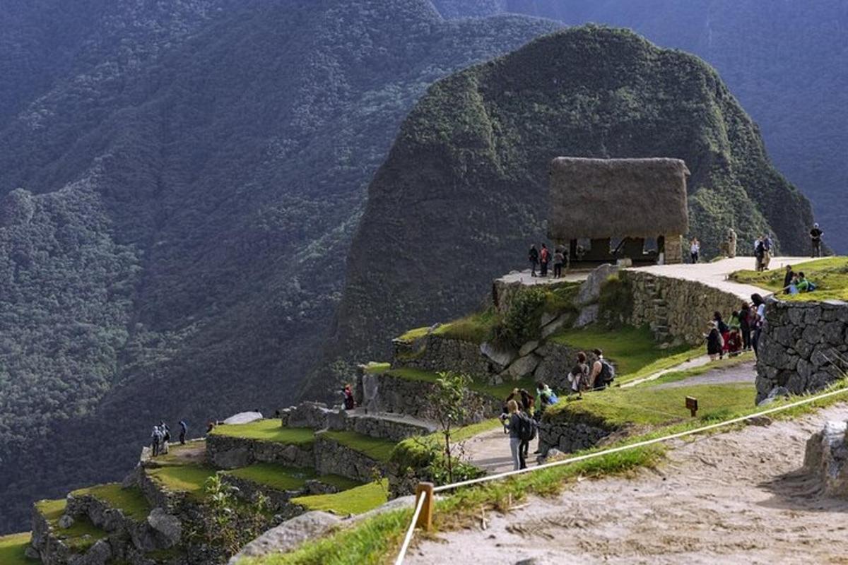 un gruppo di persone che camminano su una montagna