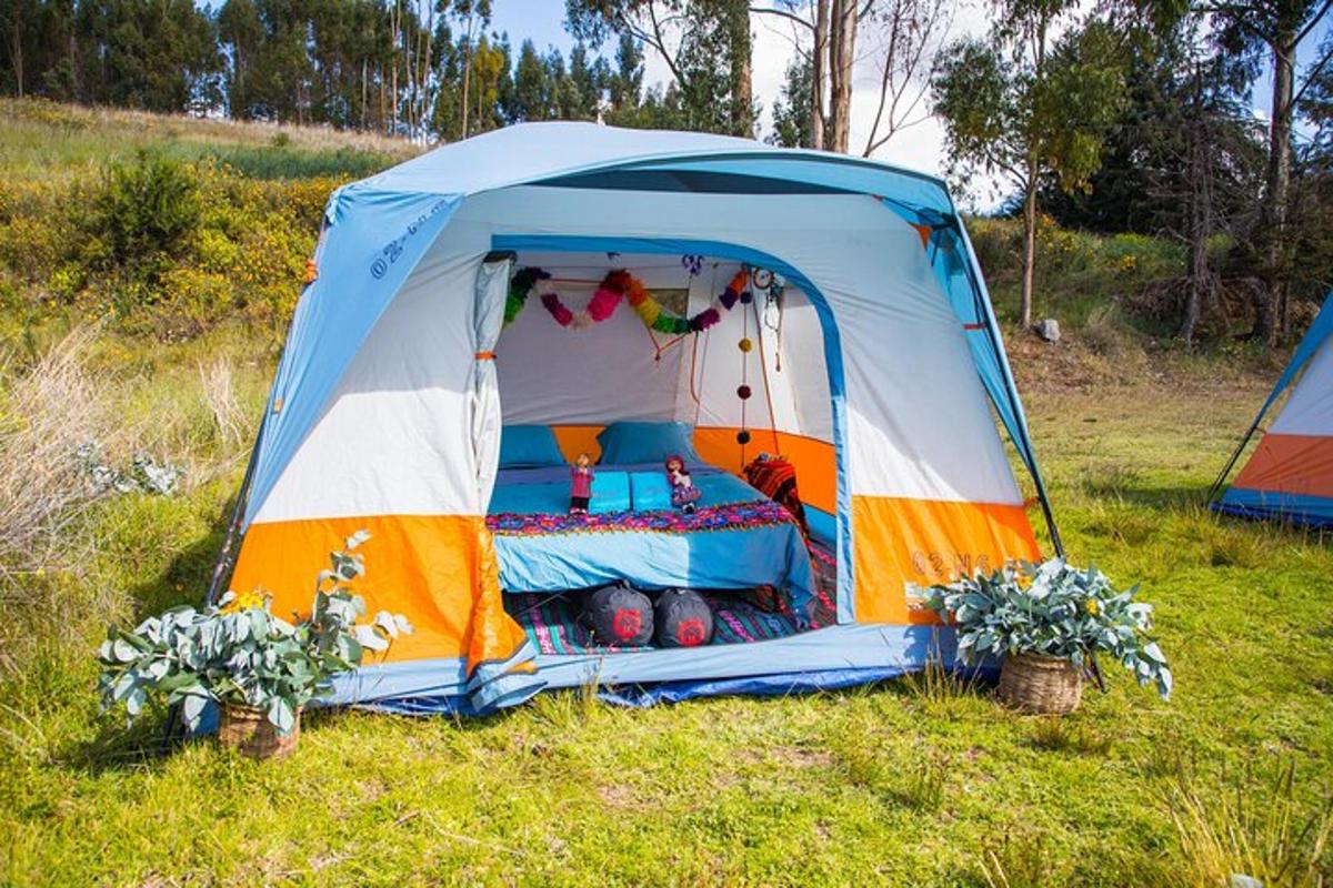 una tenda blu e bianca in un campo con piante