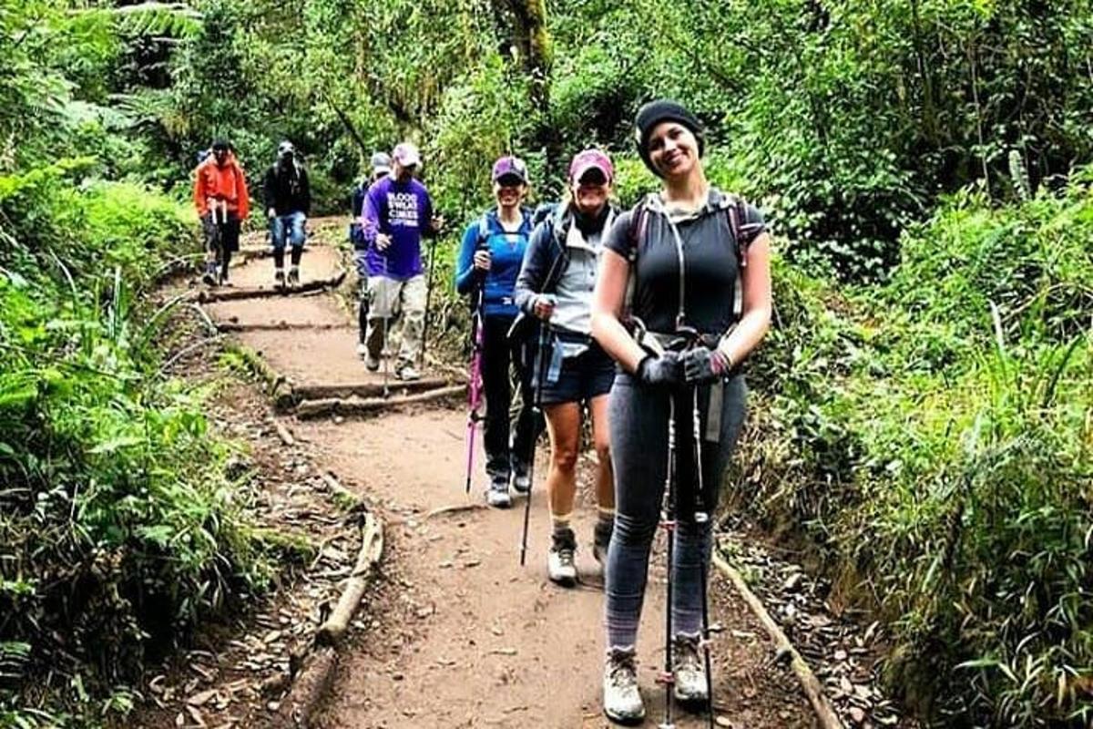 un grup de persones caminant per un camí de terra