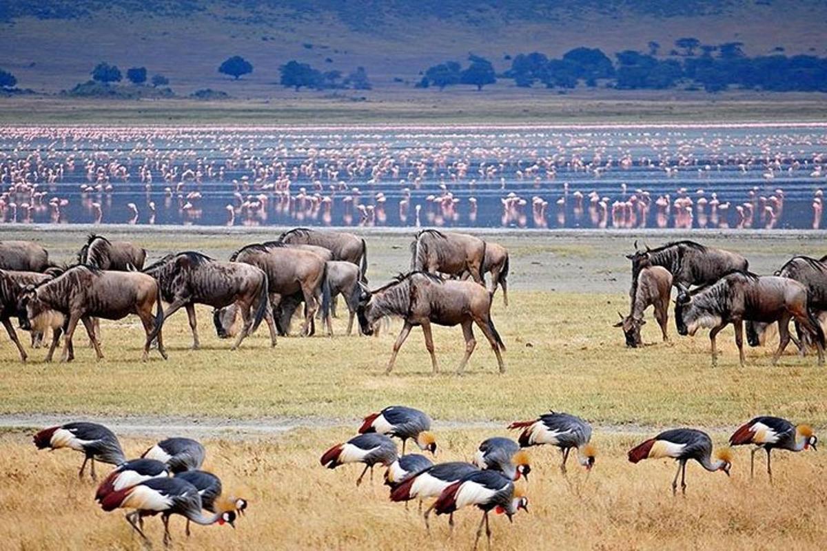 Fotografia da atração 2