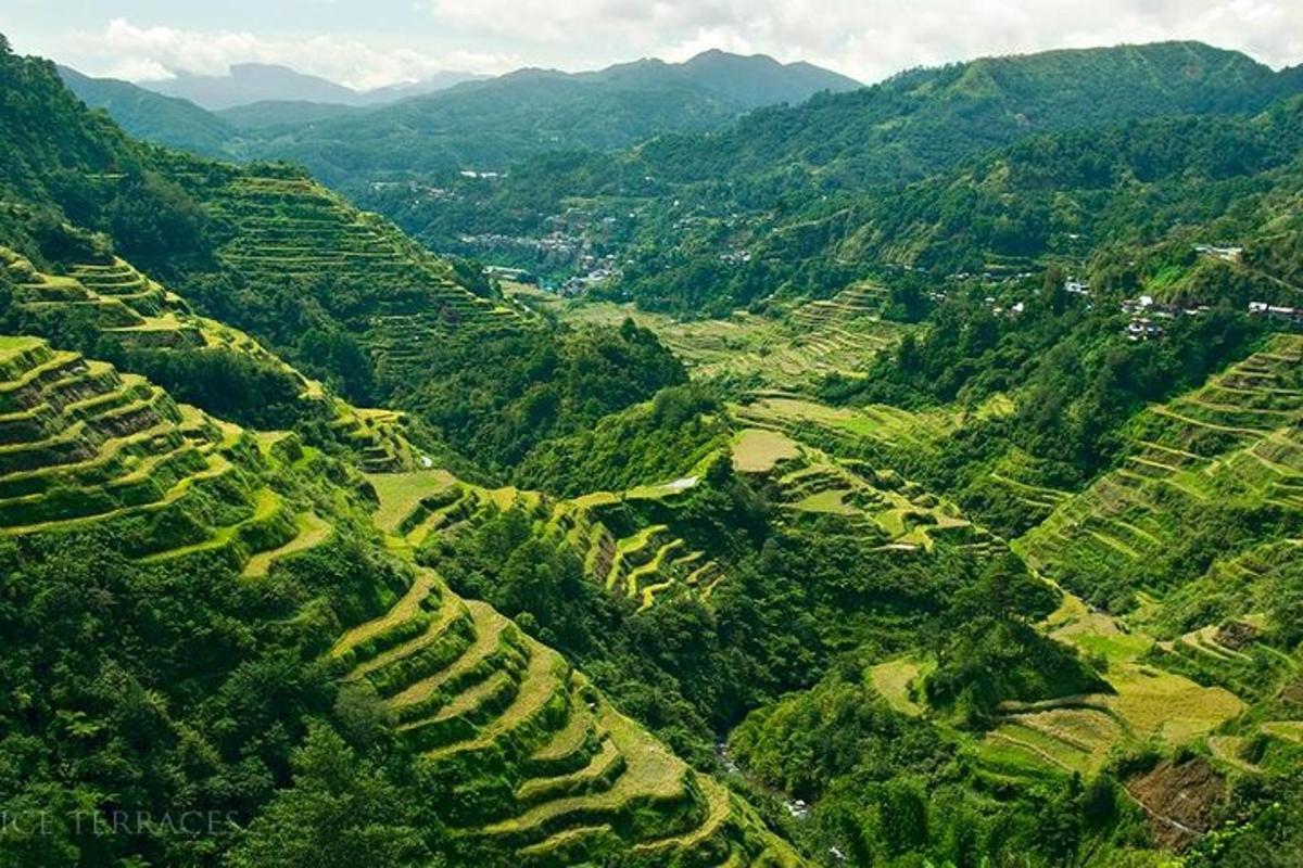 an aerial view of a valley with green mountains