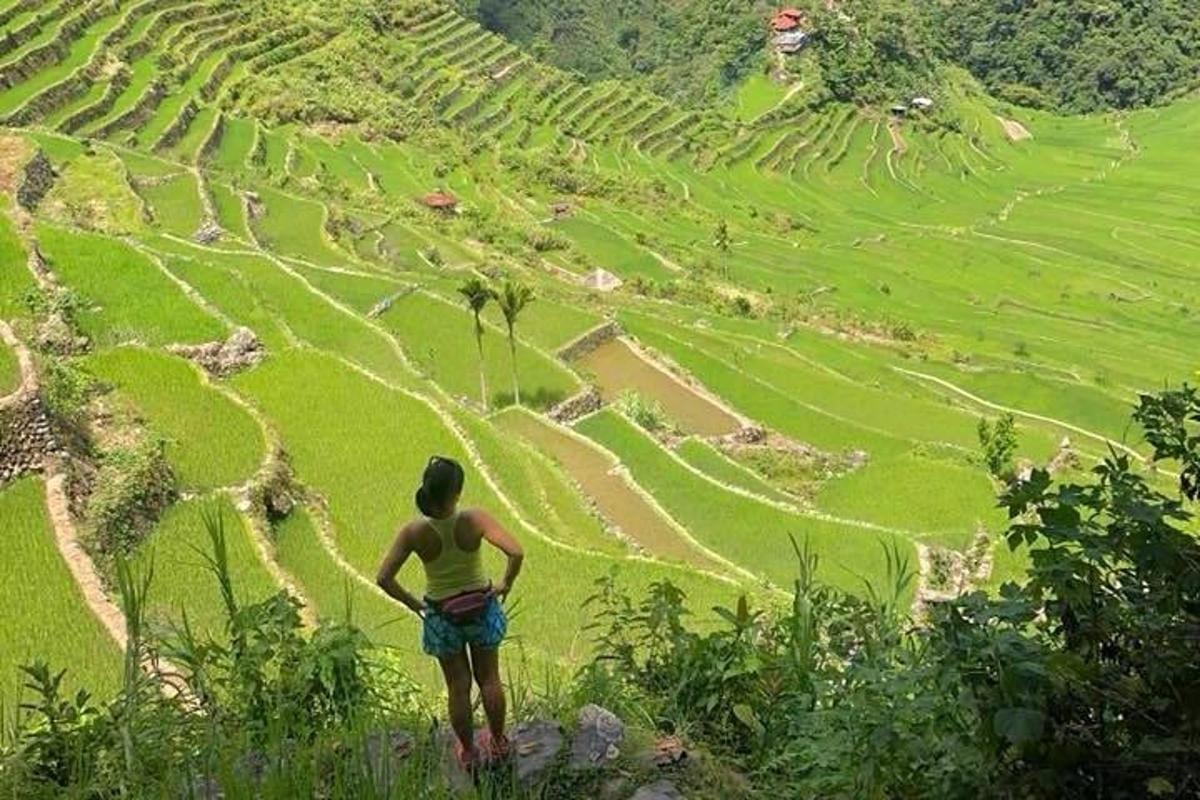 a woman standing on top of a hill looking at a field