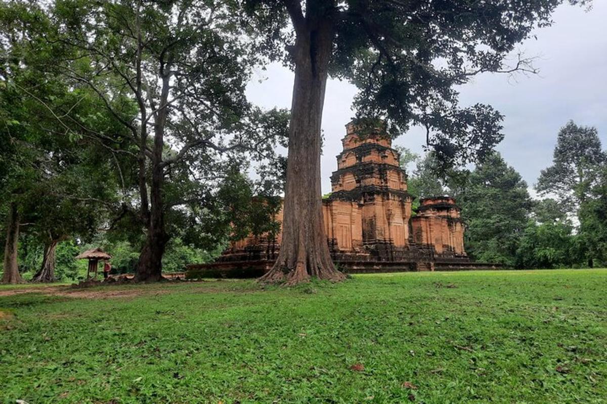 un árbol frente a un edificio en un campo