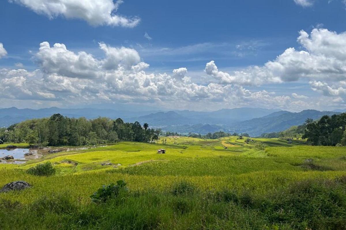 a green field with mountains in the background