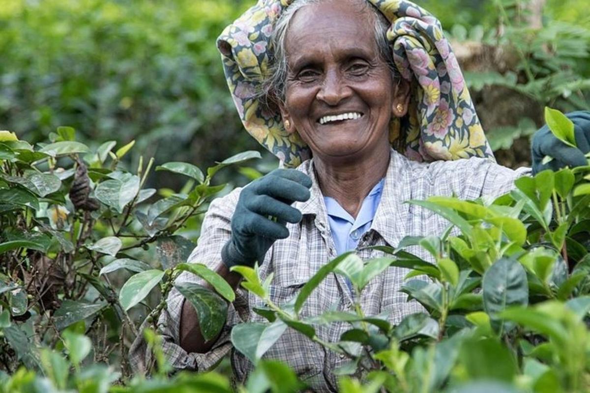 una donna anziana che indossa un foulard e guanti
