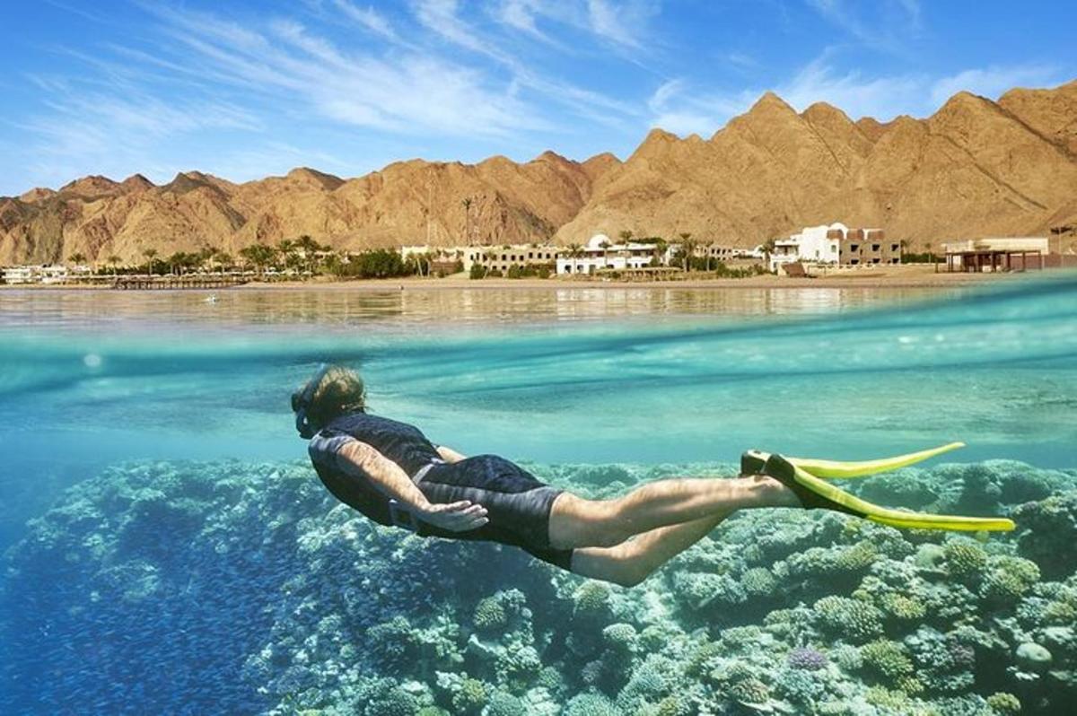 Un hombre está nadando sobre un arrecife de coral en el océano.