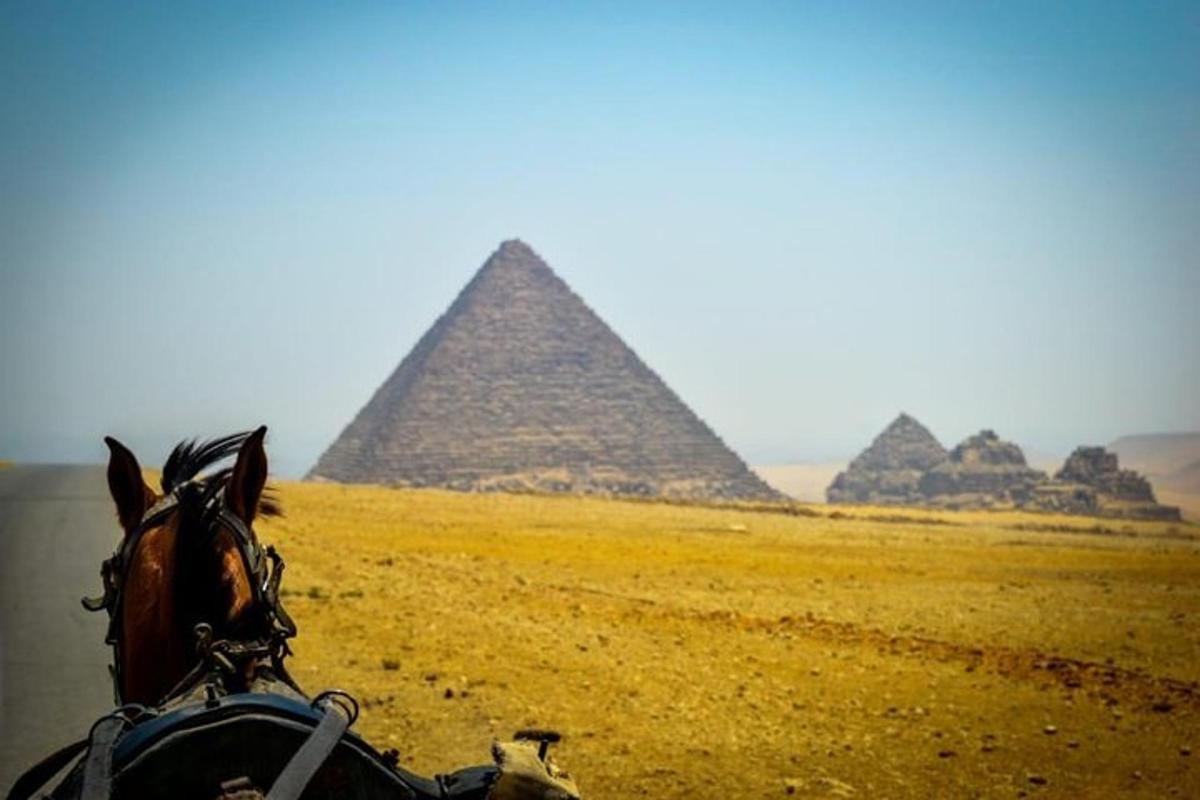 kůň táhnoucí vozík před pyramidami