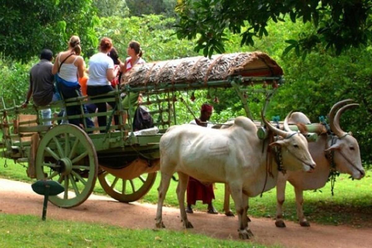 een groep mensen die op een door paarden getrokken koets rijden