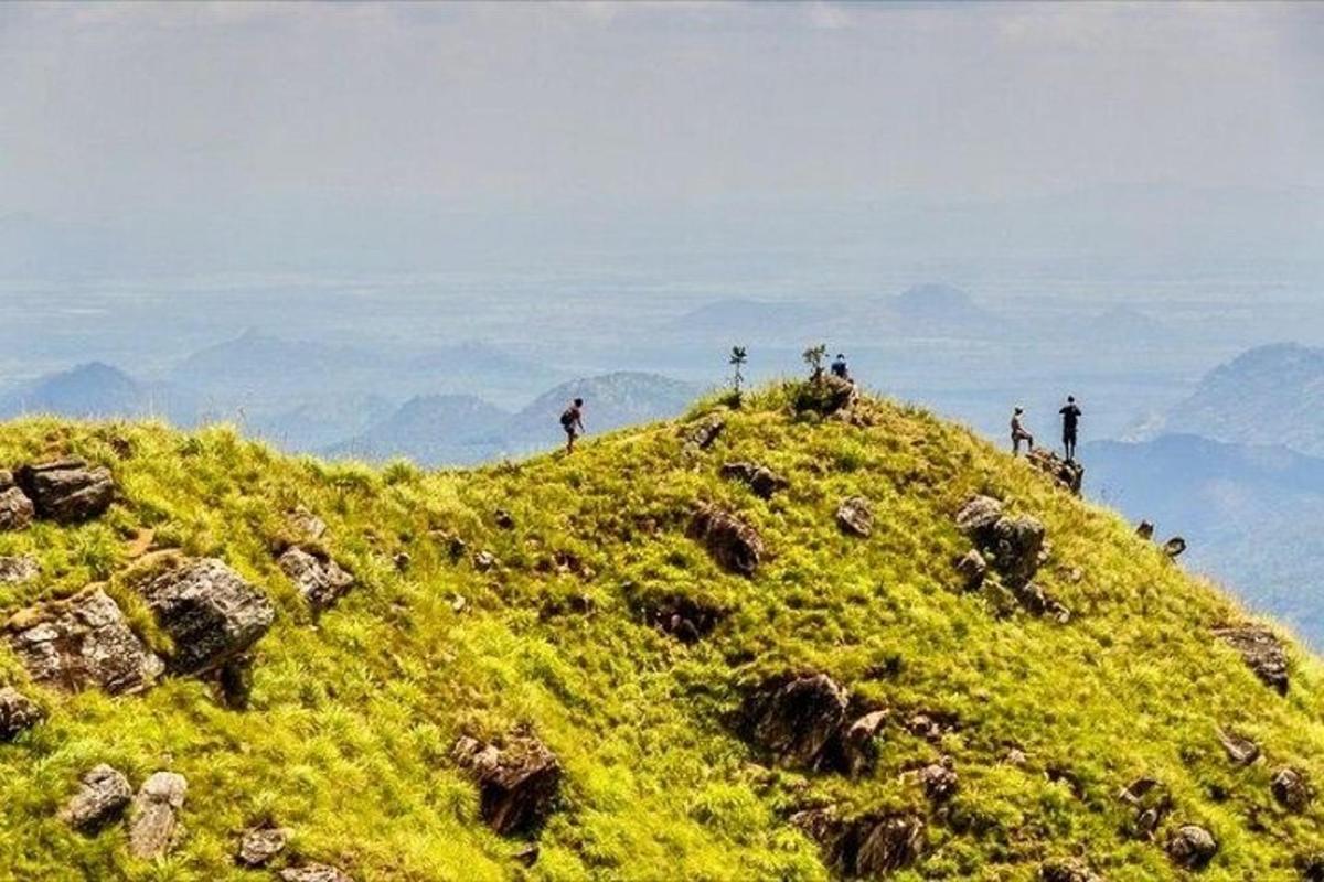 Lankytinos vietos ar pramogos nuotrauka numeris 7