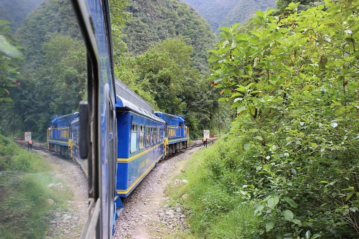 un treno blu sta viaggiando lungo i binari