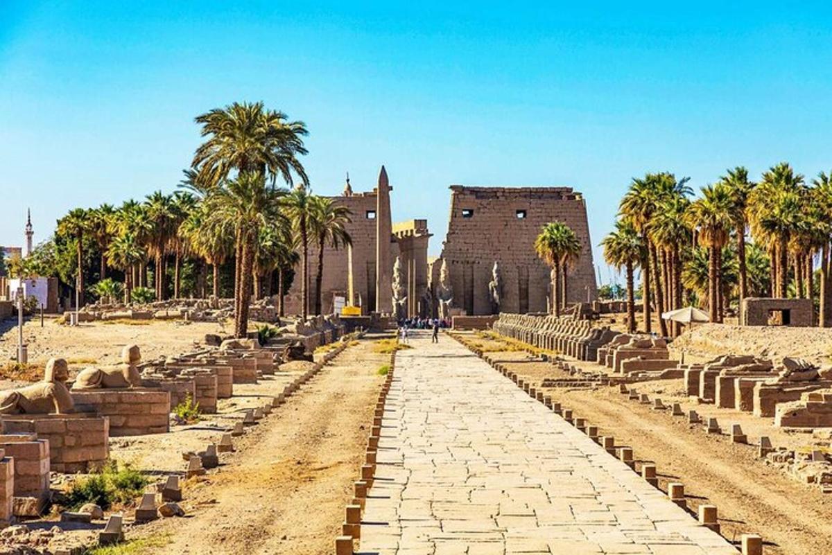 un carrer davant d'un edifici amb palmeres