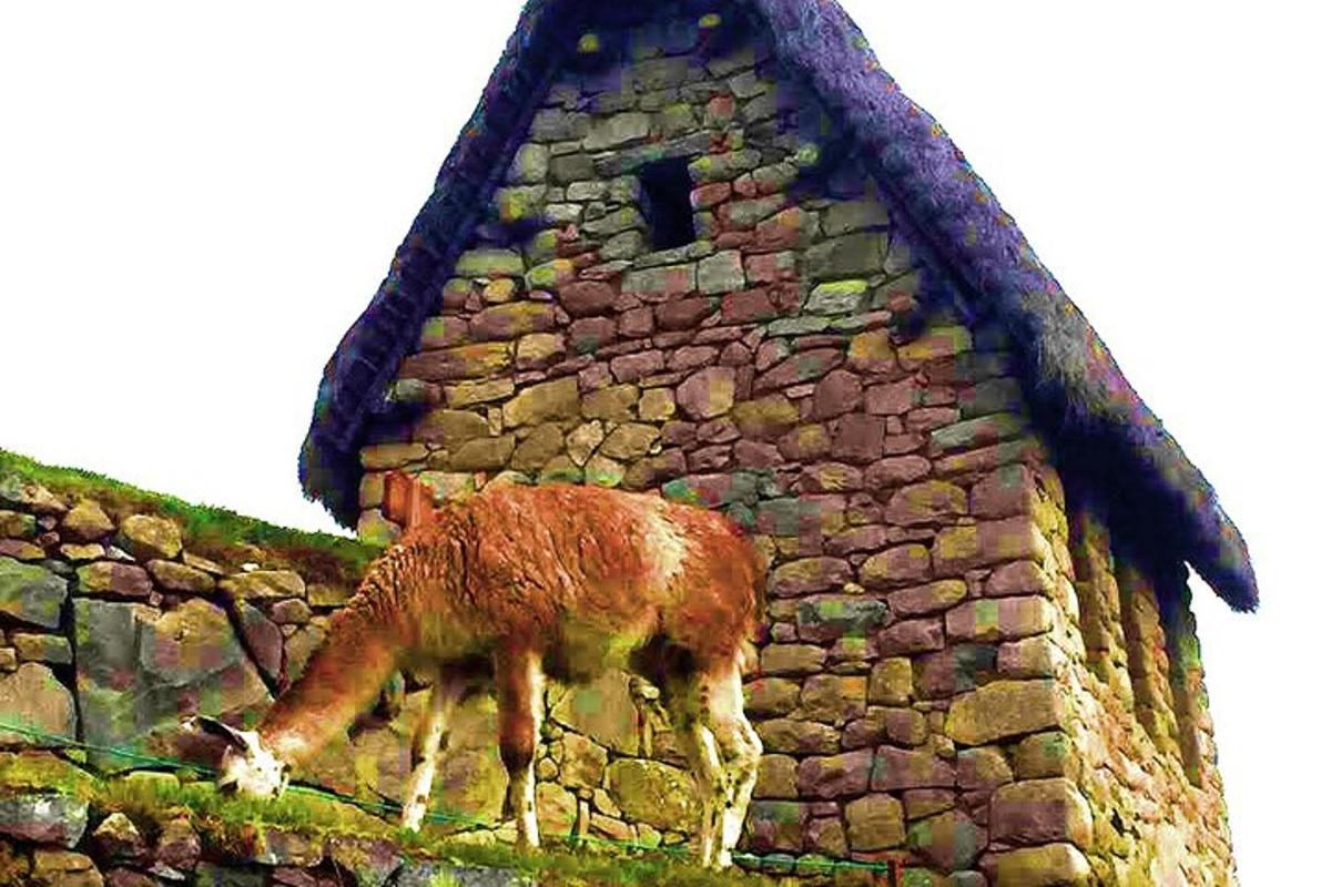 a llama standing next to a stone building