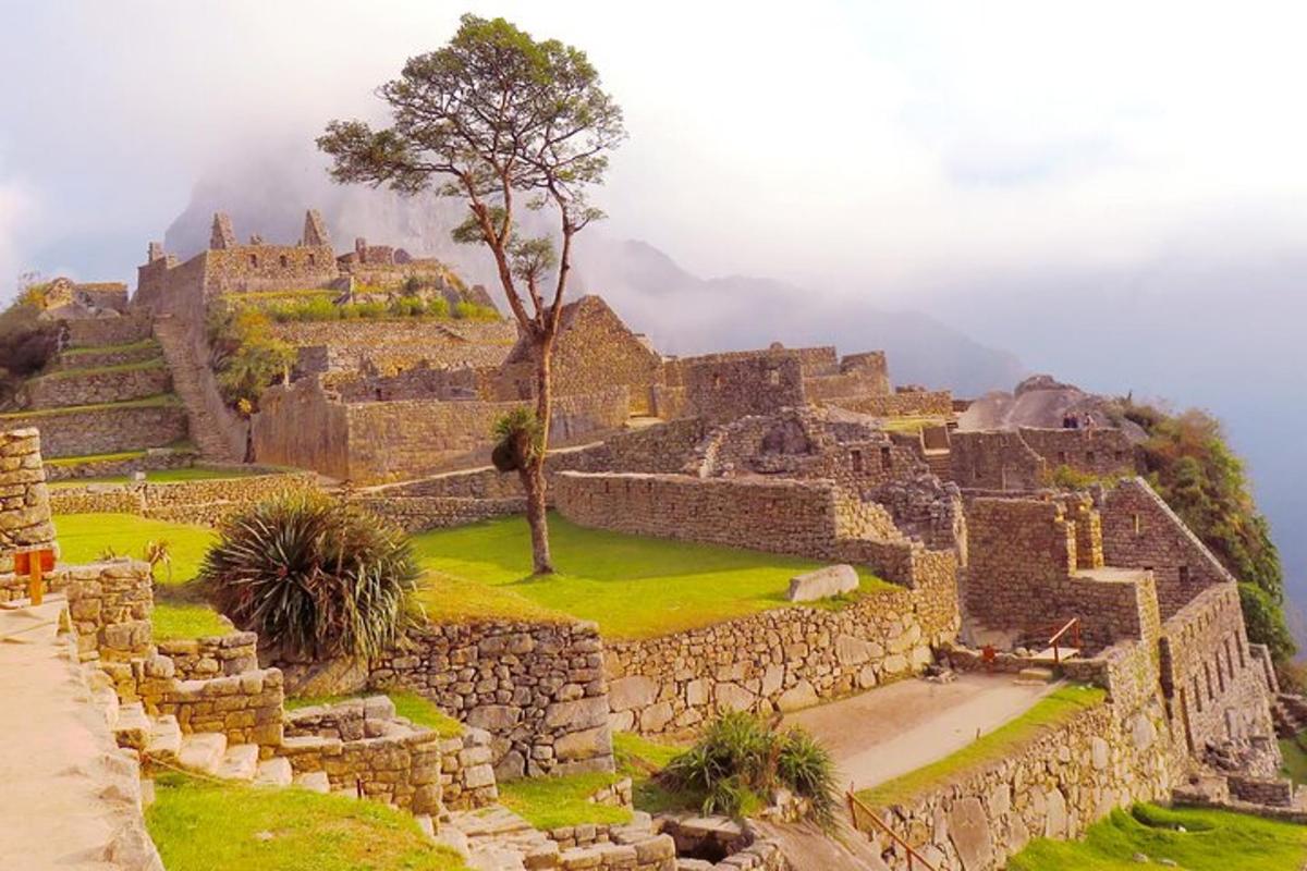 a view of the ruins of the mayan city