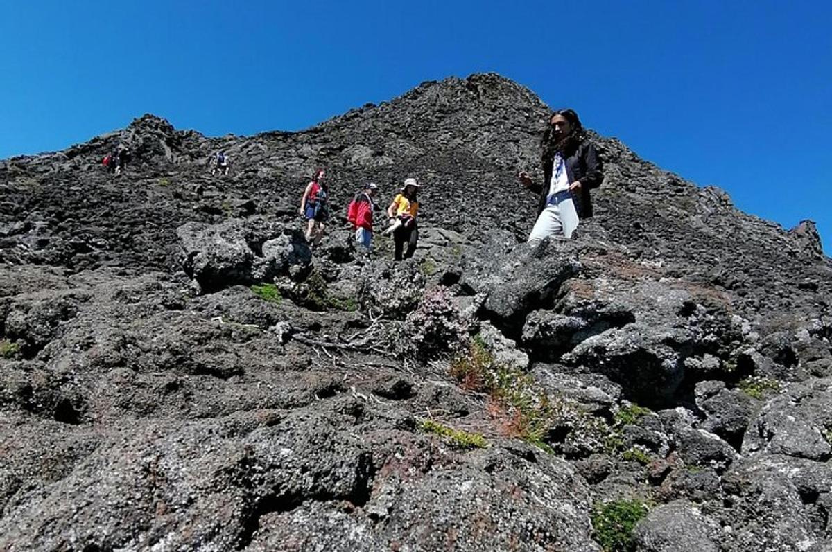 Lankytinos vietos ar pramogos nuotrauka numeris 3