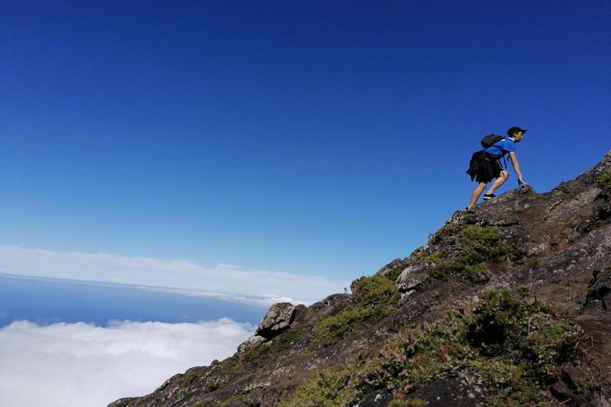 Lankytinos vietos ar pramogos nuotrauka numeris 7