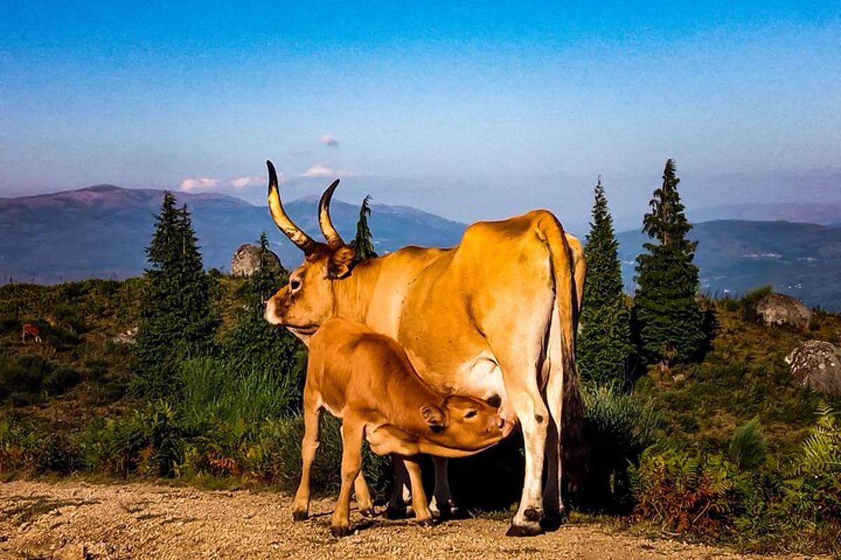 Turistik nokta fotoğrafı 1