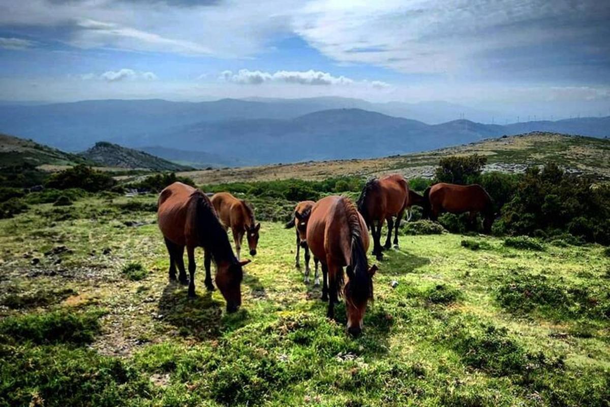 Fotografia da atração 5